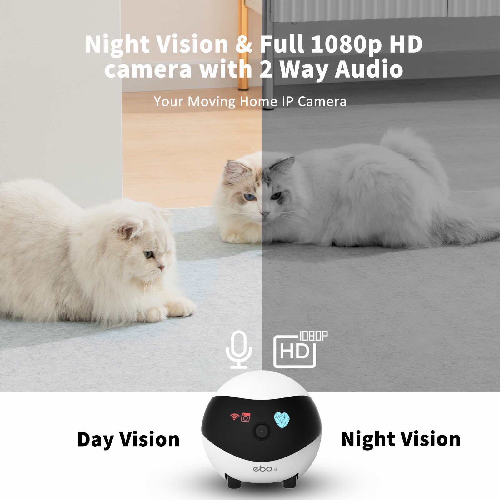 EBO SE رفيق الروبوت المنزلي ال - مراجعة Home Security Robot وسعره