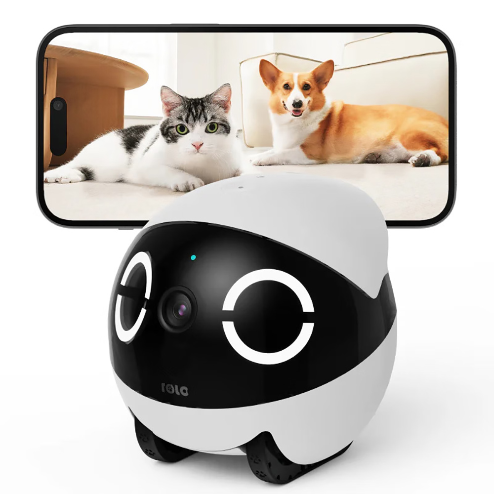 روبوت رفيق صغير للأمن المنزلي  - مراجعة Home Security Robot وسعره