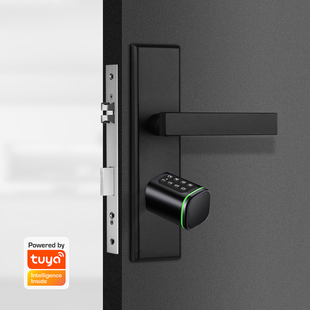 قفل اسطوانة ذكي تويا 60-90 ملل - مراجعة Home Security Group وسعره