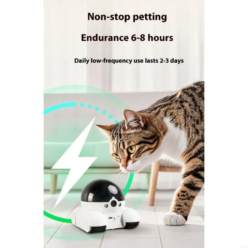 كاميرا الحيوانات الأليفة الدوا - مراجعة Home Security Robot وسعره